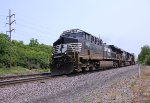 NS 4611 close up on 29G